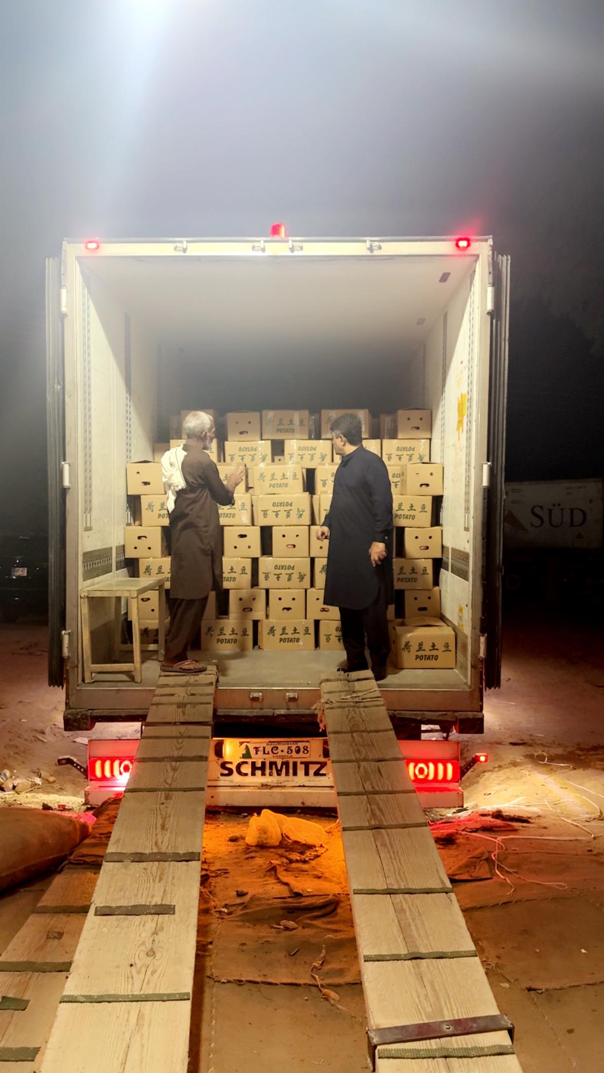 Global Potato Export & Logistics